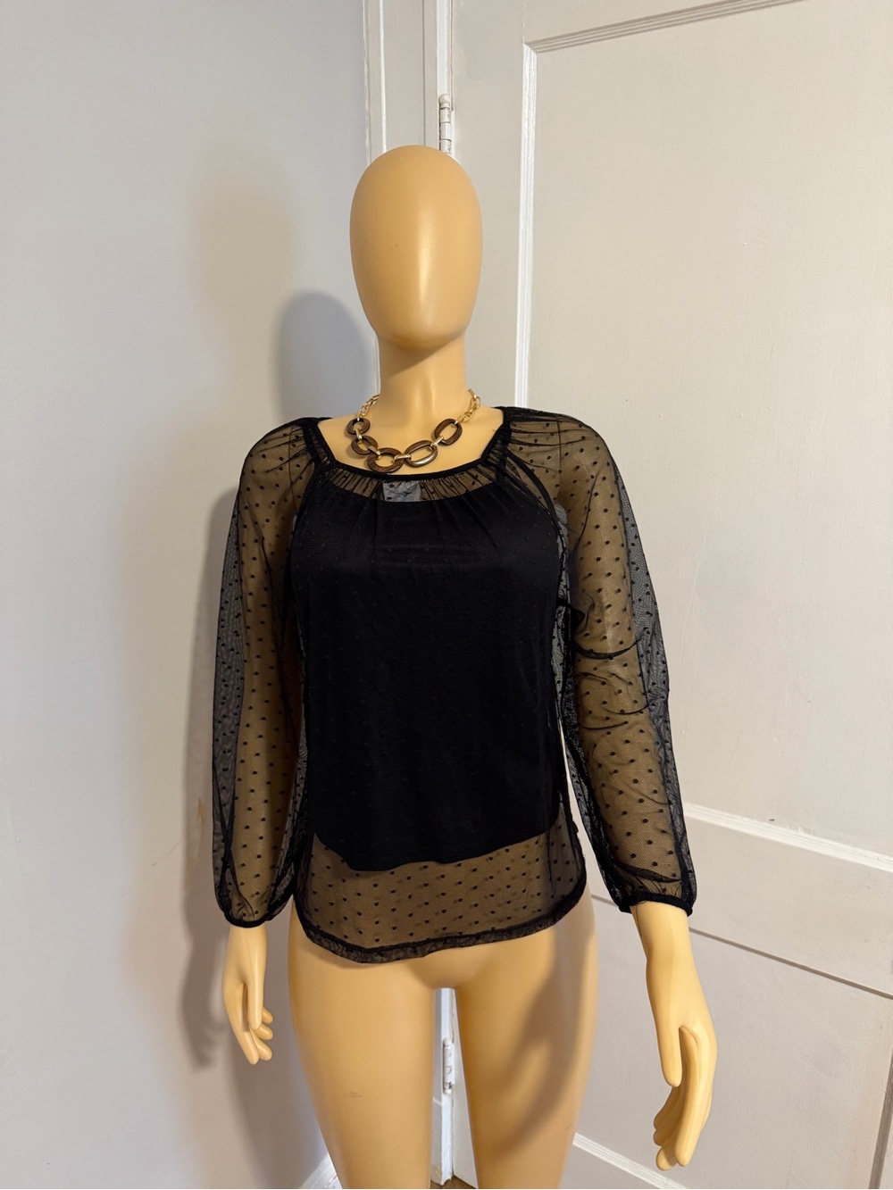 Sheer Dot Mesh Black Long-Sleeve Top